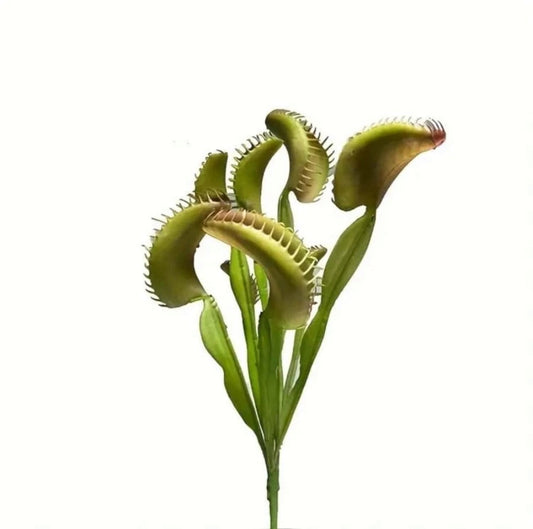 Venus Fly Trap Faux Plant