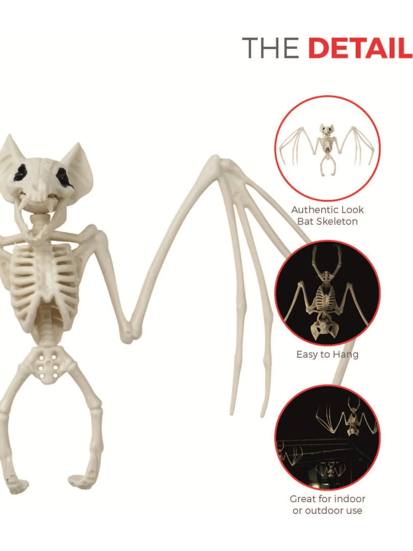 Bat Skeleton Prop